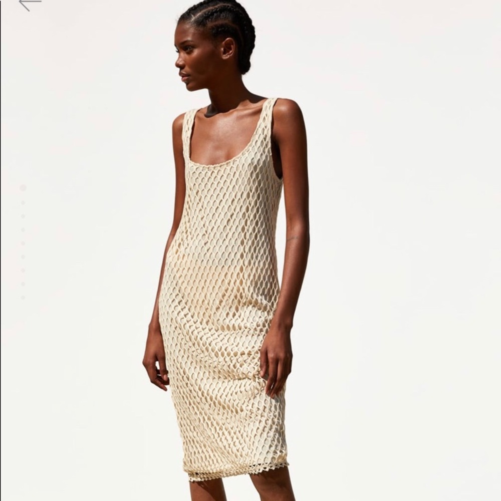Zara mesh round neck dress.